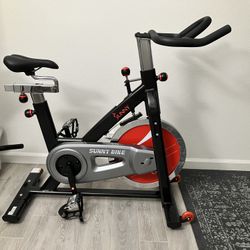 Sunny Exercise/Spin Bike