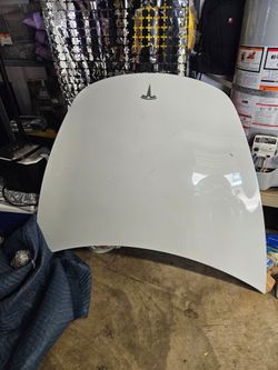 Model 3 hood