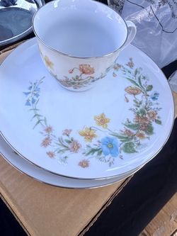 Dish set