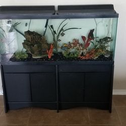 Aquarium Fish Tank 