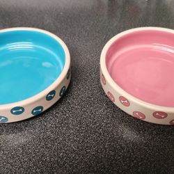 Teacup Dog Size Bowls