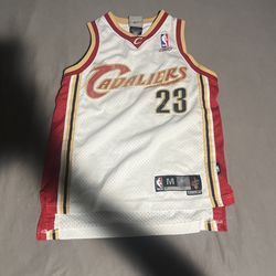 LeBron James NBA Jersey