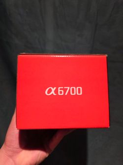 Sony a6700 Mirrorless Camera