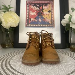 Timberland Toddler Boots 