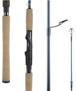 KastKing ReKon Saltwater Spinning Rod, KastFlex IM6 Carbon Graphite Blank, Zirconium Ceramic Guides, Graphite Locking Reel Seat, Oversized Drop Shot H