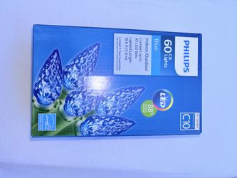 Phillips Led Blue Christmas Lights 19.1 Feet I Have Two 