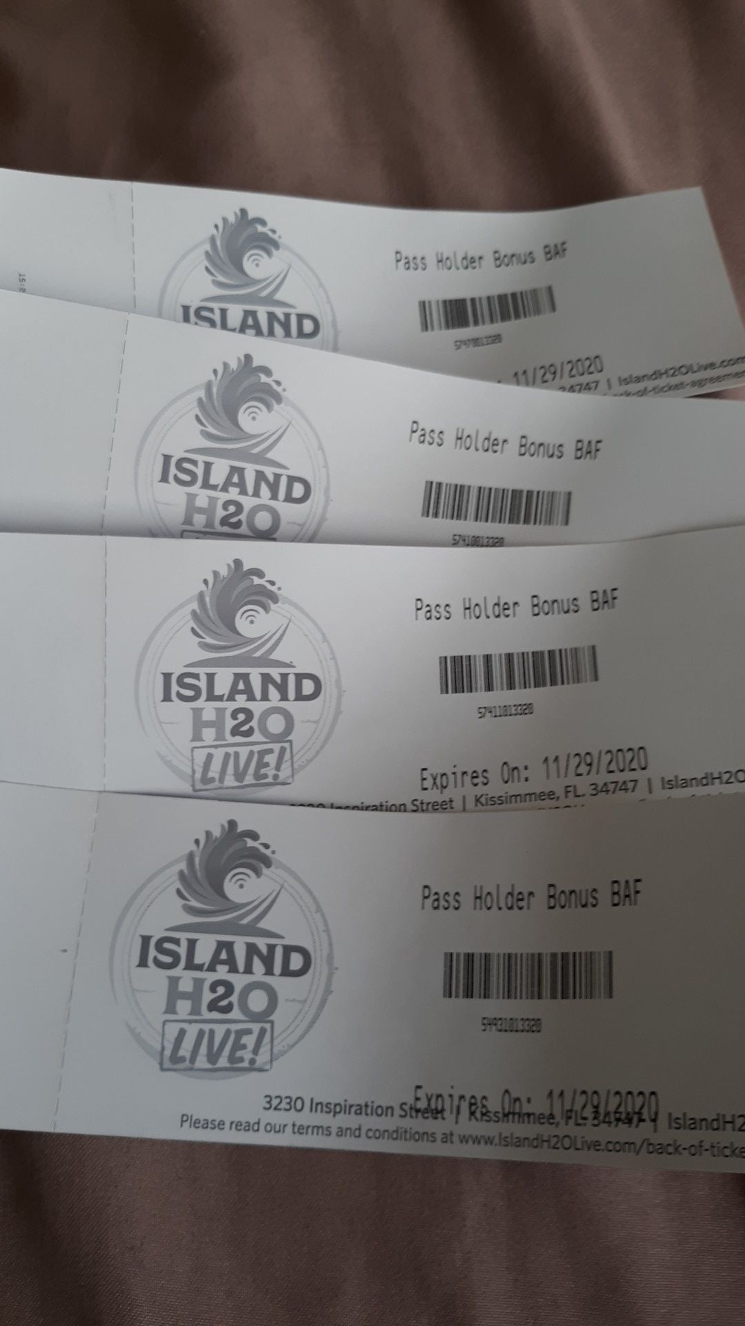 H2O Island water park day pass