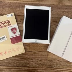 Apple iPad PERFECT Condition