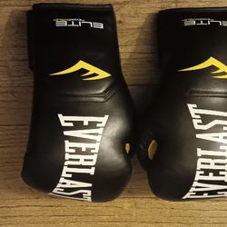 Everlast Boxing Gloves 