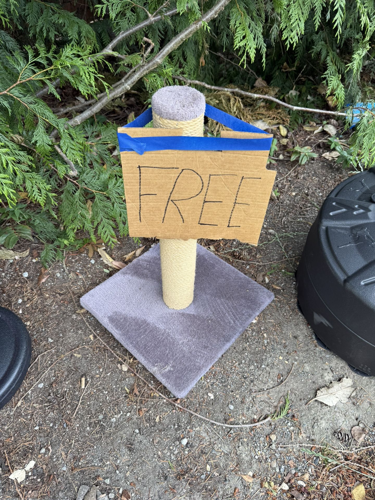 Free Cat Scratching Post