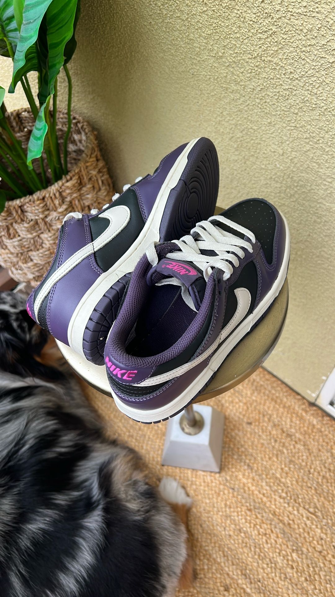 Nike