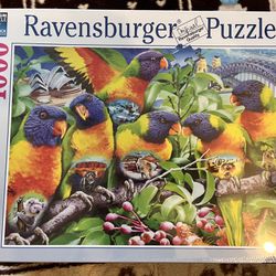 1000 Piece Ravensburger Puzzle