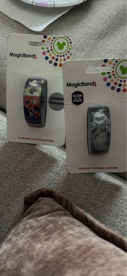 MagicBand2 (2)