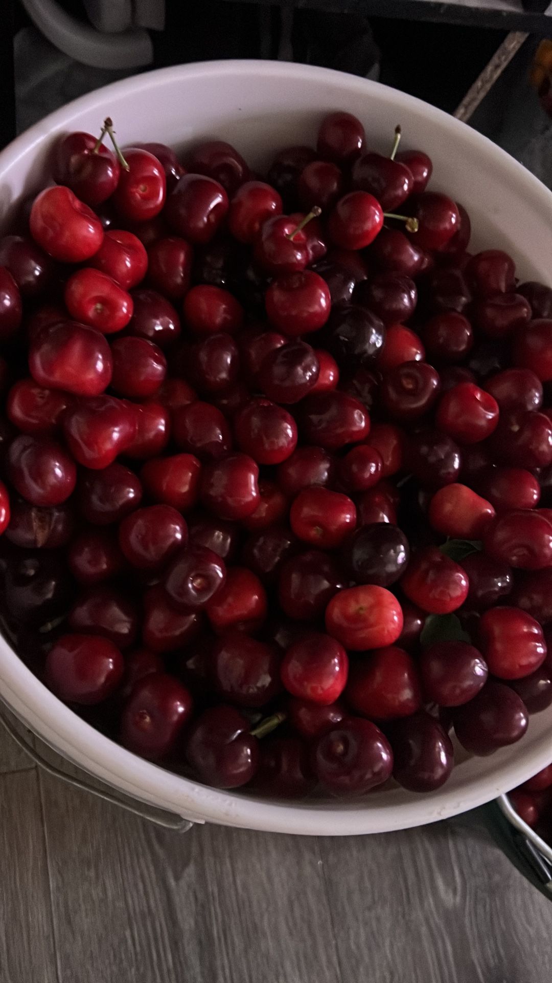 fresh picked cherries