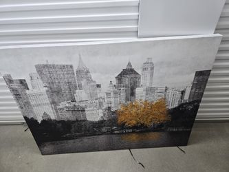 Around A 5x4 Ft Painting