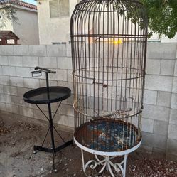 Large Birdcage & Perch 