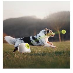 Automatic Tennis Ball Launcher for Medium & Large Dogs