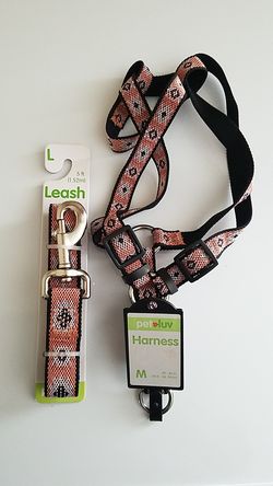 Dog Harness and Leash Set