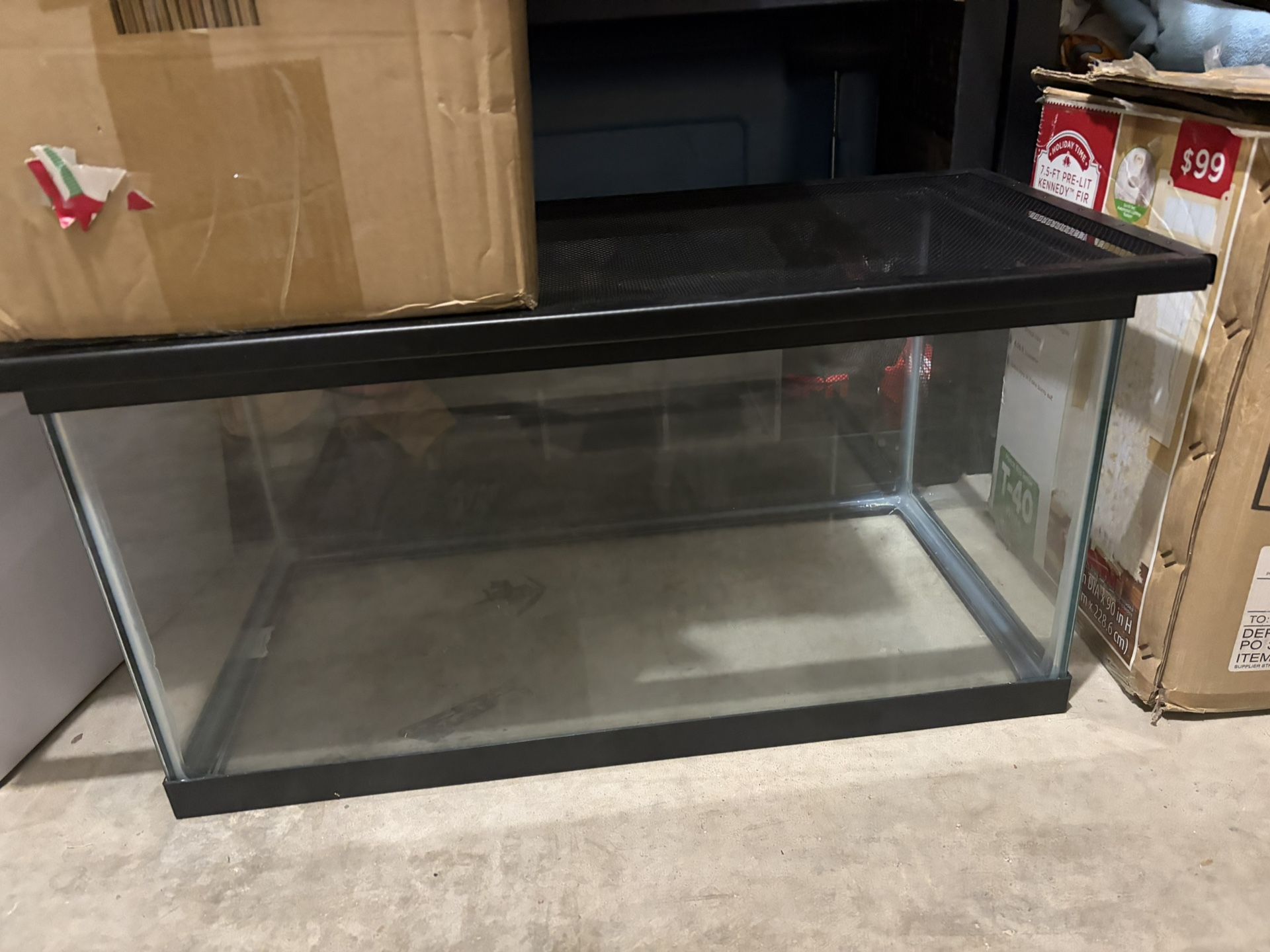 20 Gallon Tank