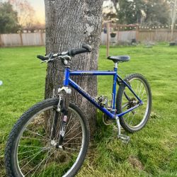 Raleigh M80 Mountain Sport