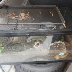 Terrarium 