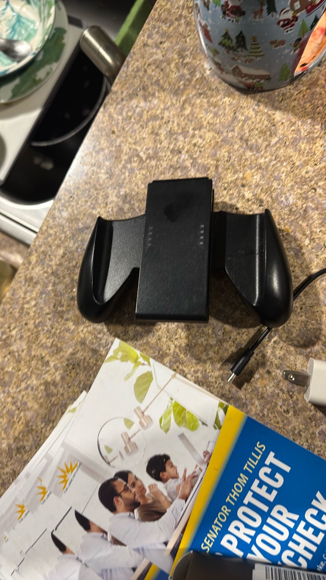 Nintendo Switch Controller
