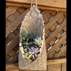 Succulent Hanging Rattan Basket