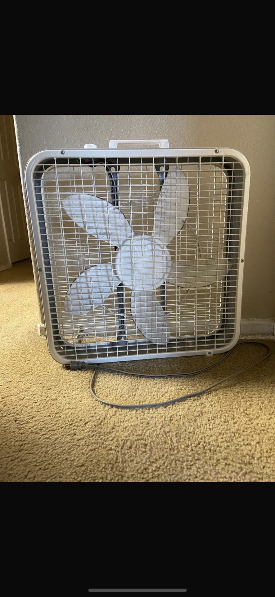 White Cool Colors 3-Speed Box Fan