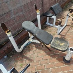 Free bench press, FREE 