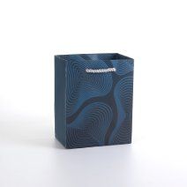 BEROIA Premium Gift Bags – 12 Pack – Wavy Lines – Size S – 4.7×3.1×5.9 in – 210 GSM