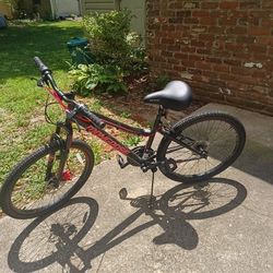 Mongoose 24" Bike