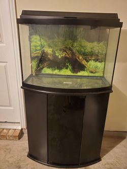 30' Bowfront Fish Tank