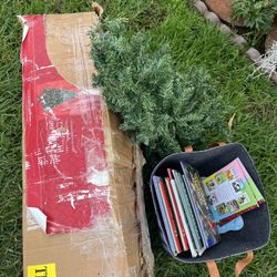 Christmas Trees And Books 