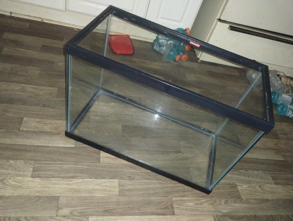 20 Gallon Aquarium