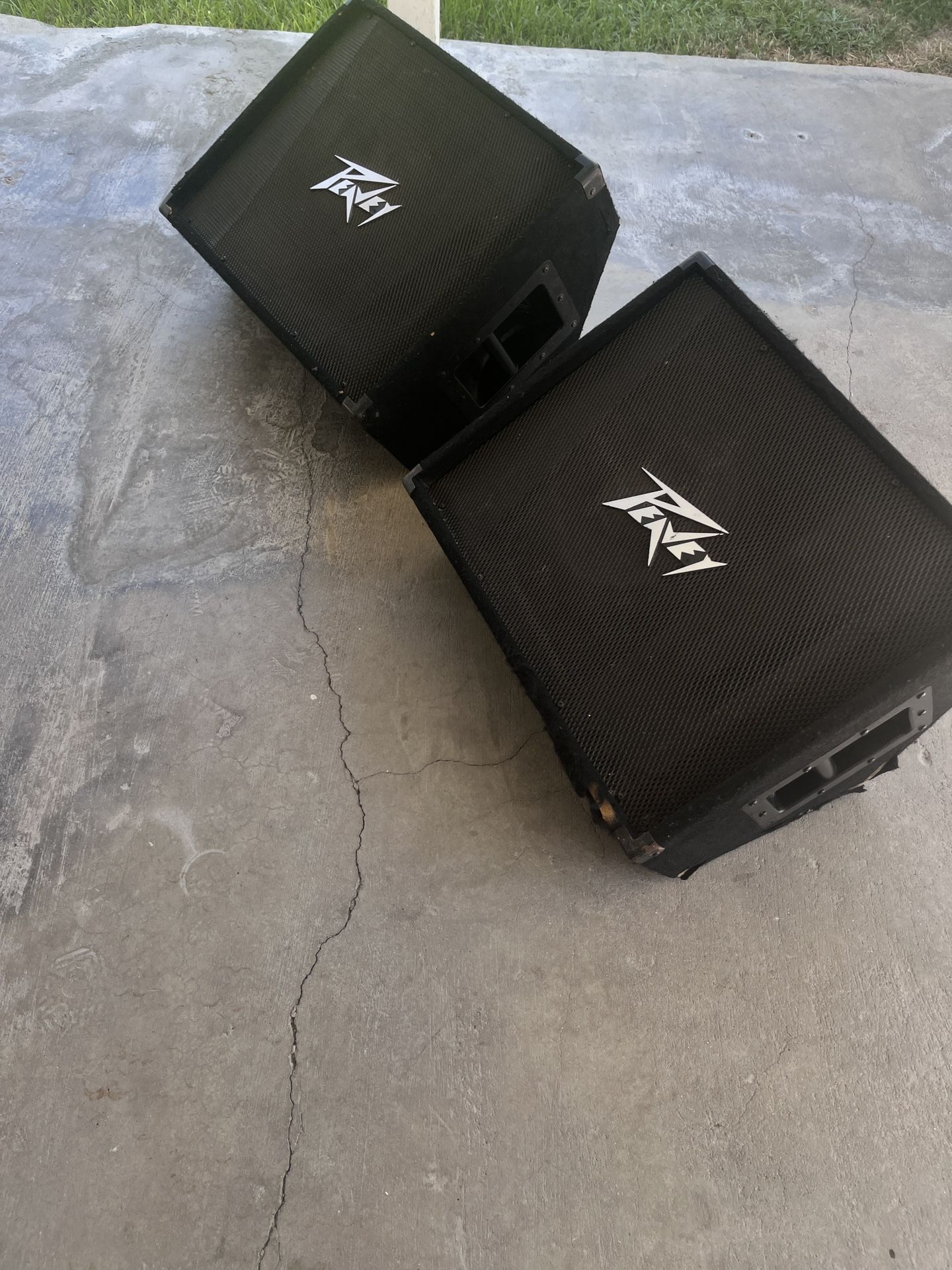 Peavey Floor Monitors