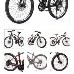 Electric Bike