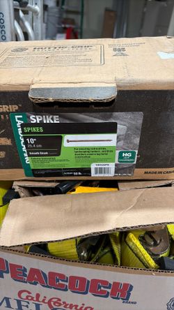 10” Galvanized Spikes