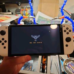 Nintendo Switch Hardmod