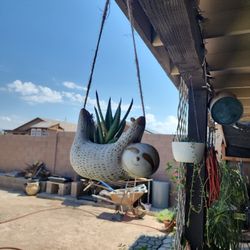 Plant Holther Whith Plant 