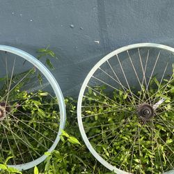 Beach Cruiser Bike Rims