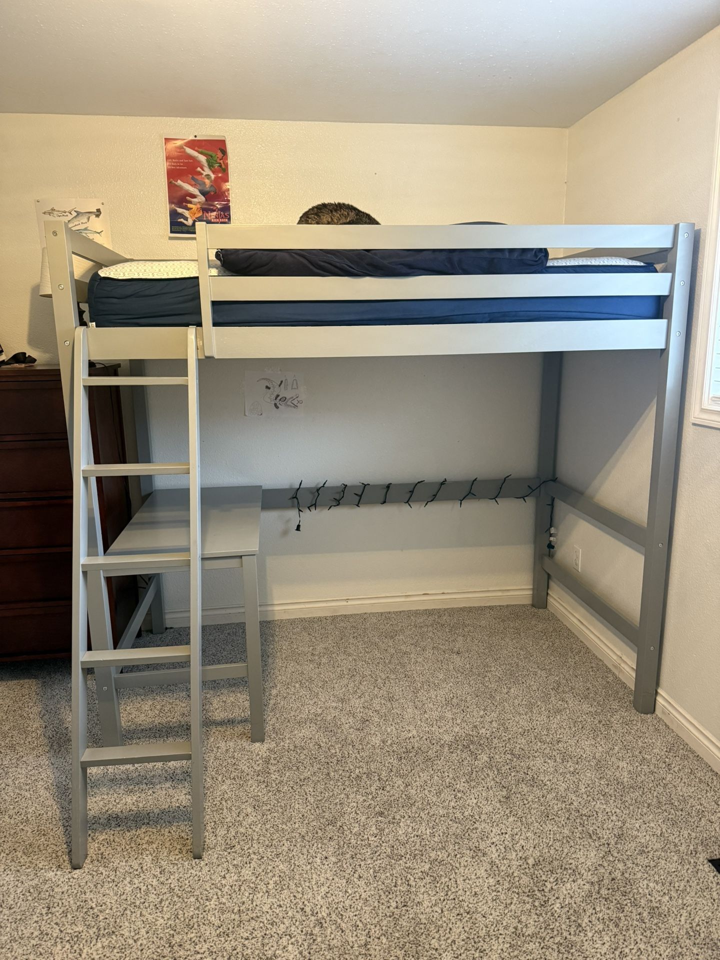 Twin Loft Bed