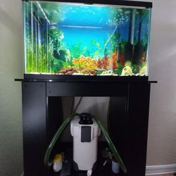 30 Gallon Aquarium With Stand