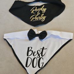 Black Bandana with the phrase "Ready to Party" & Best Dog
