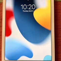 iPad Air 2 - Pristine