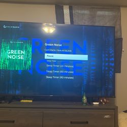 60 Inch Roku Tv