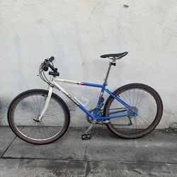 Specialized Rock Hopper