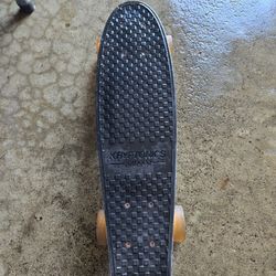 Skate Board 