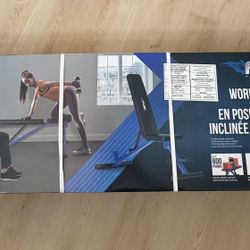 Workout flat bench with Rack