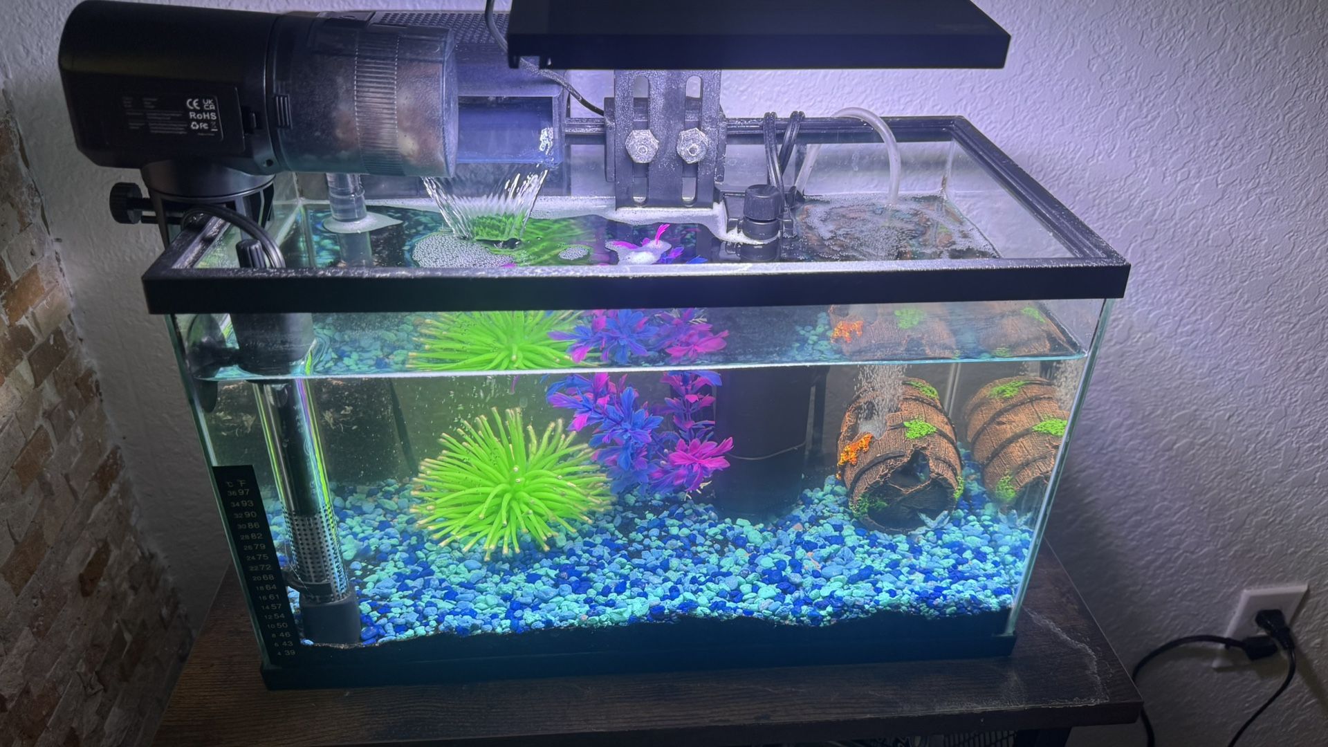 20-Gallon Fully Equipped Fish Tank – Ready to Use