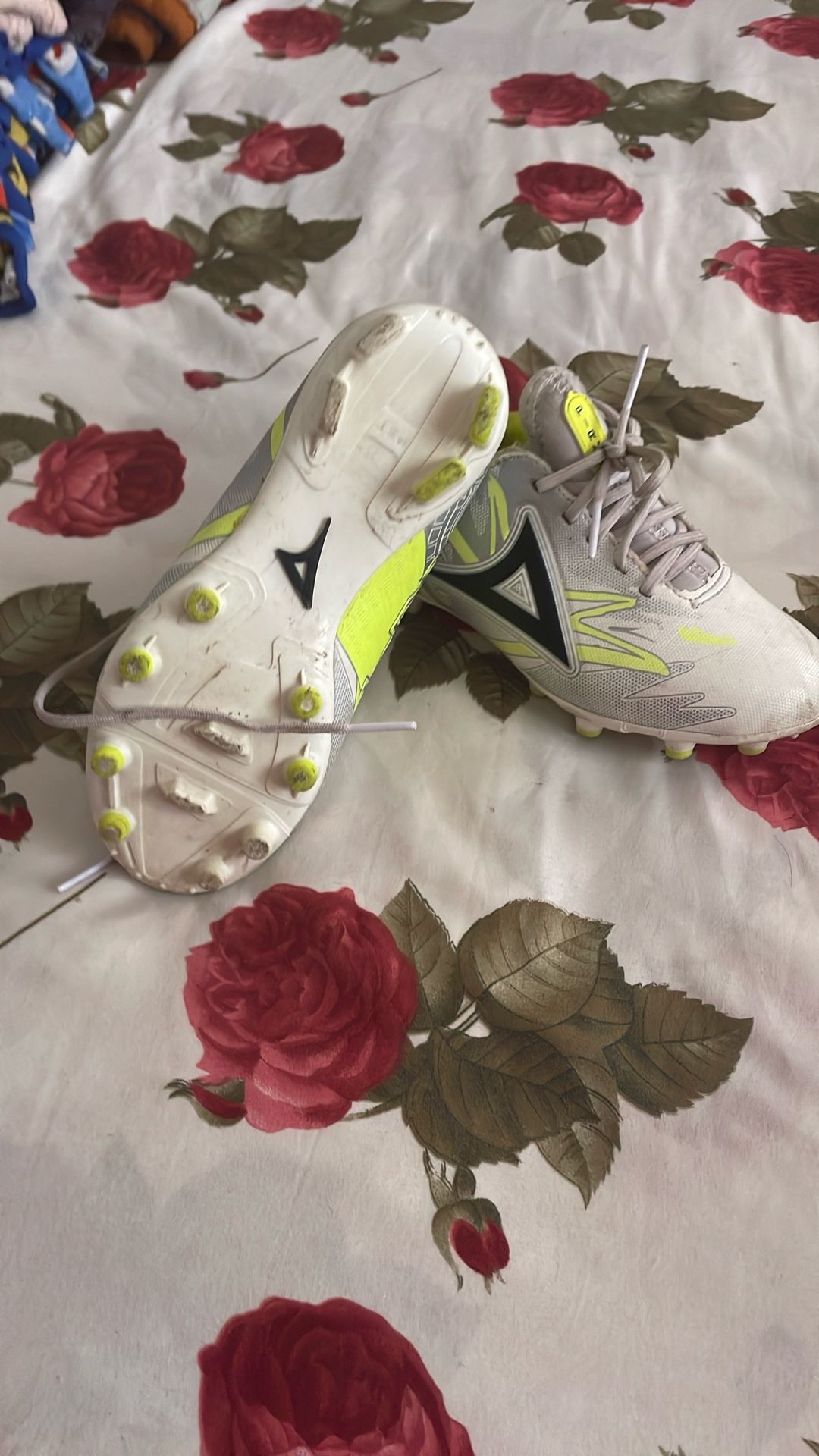 Soccer Shoes